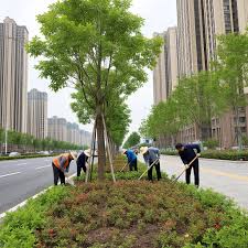 2026美加墨世界杯官网 丽江园林绿化工程施工手续